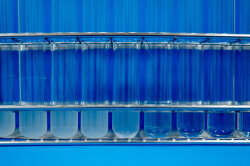 MIC LpxC Inhibitoren